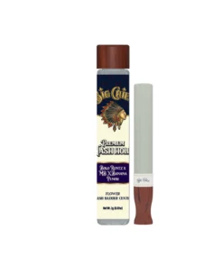 Big Chief Bolo Runtz x Papaya Punch 2G